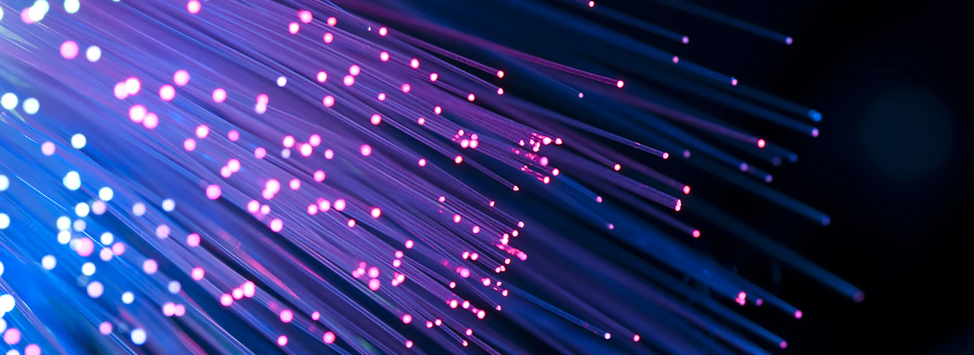 Thüringen auf der China International Optoelectronics Exposition | Bild: asharkyu / shutterstock.com Bildbeschreibung / description: leuchtende Glasfasern