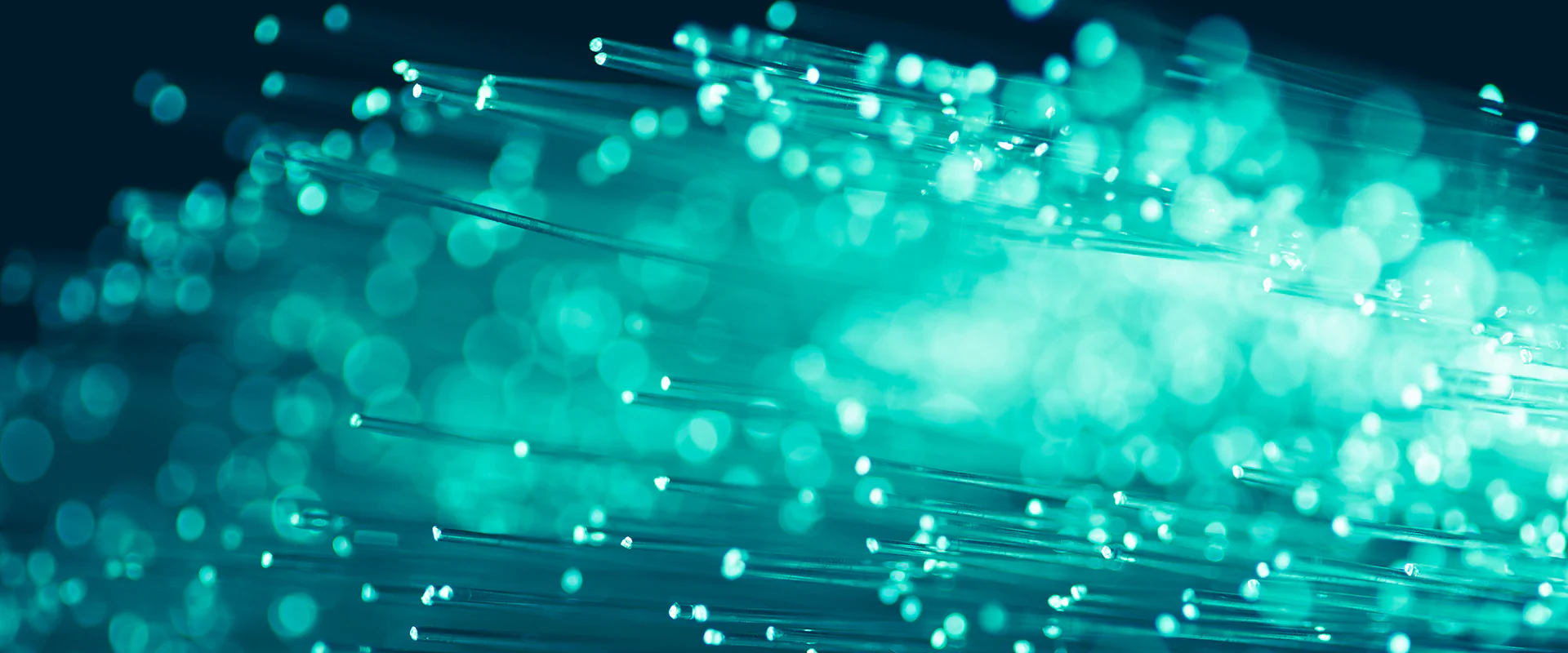 Bild: nikkytok / shutterstock.com Bildbeschreibung / description: leuchtende Glasfaserstränge