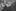 News: Unternehmensreise Indien mit Messebesuchen